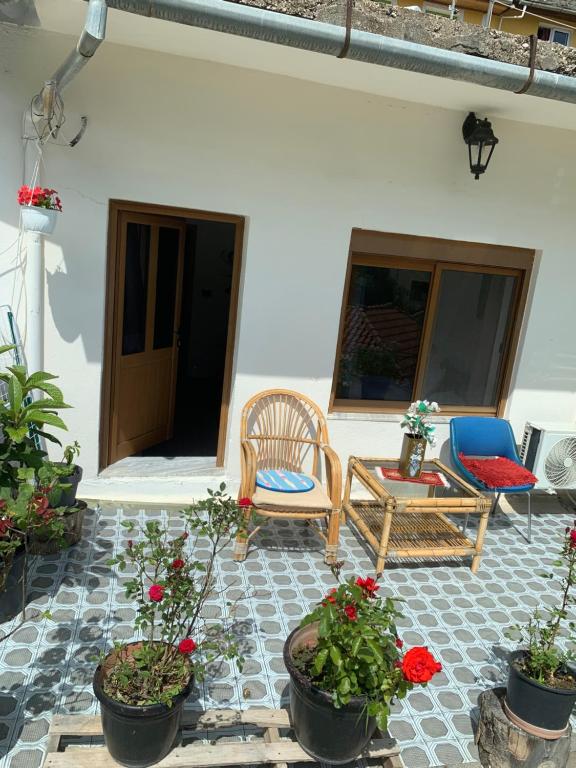 Manga guesthouse