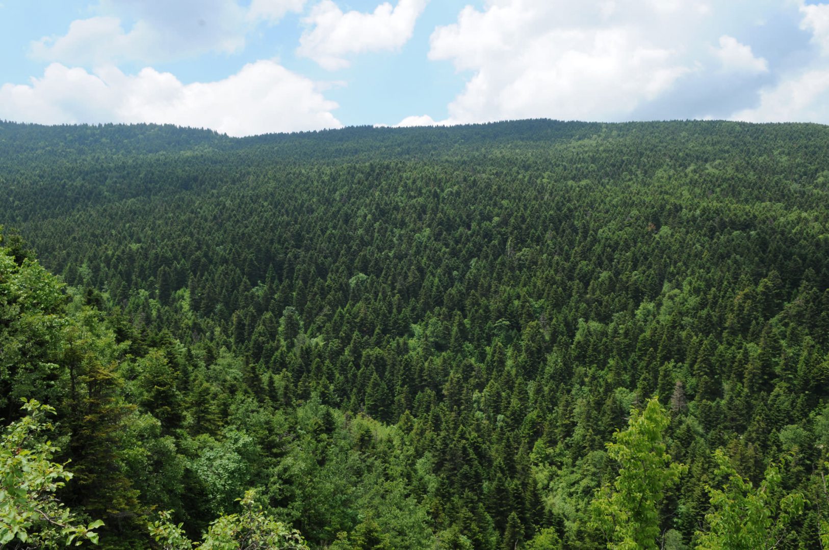 NATIONAL PARK “BREDHI I HOTOVËS – DANGËLLI”