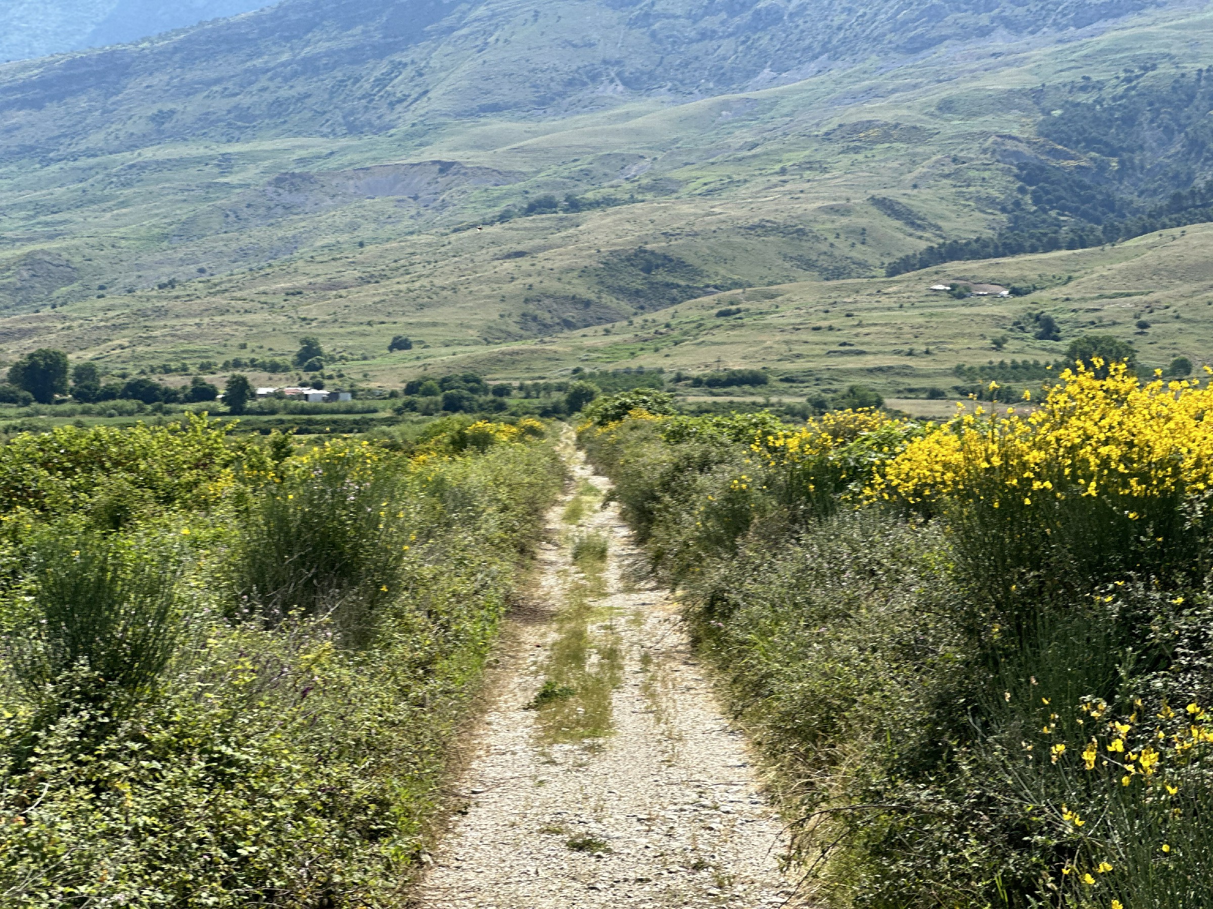 Zagoria Off Road Adventure And Beyond